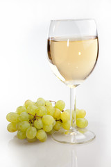 Wine and Grapes
