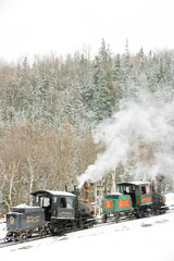 Fototapeta na wymiar Mount Washington Cog Railway, Bretton Woods, New Hampshire, USA