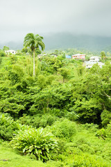 inland of Grenada, Caribbean