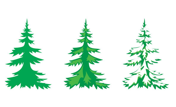 vector set of 3 fir-trees