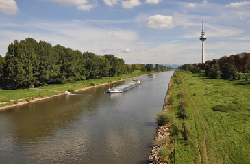 Neckar in Mannheim - obrazy, fototapety, plakaty