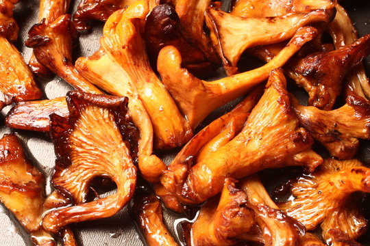 po&ecirc;l&eacute;e de girolles