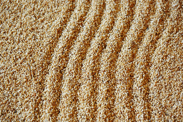 sand background