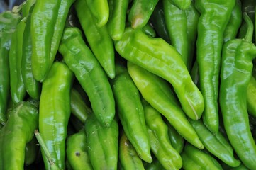 green peppers