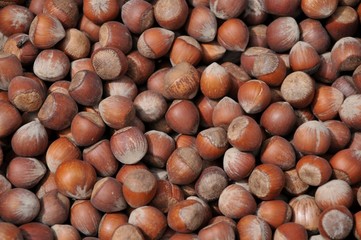 hazelnut