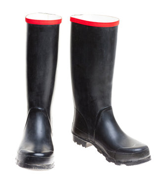 Wellingtons