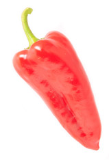 Red pepper on white background