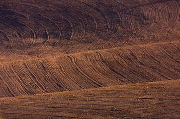 freshly ploughed field