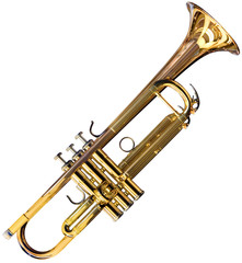 Golden trumpet isolated with clipping path