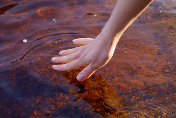 Transparent spring