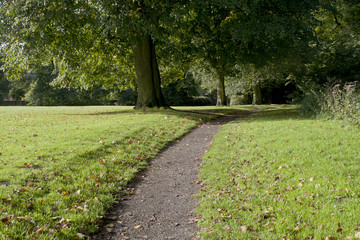 Country park foot path