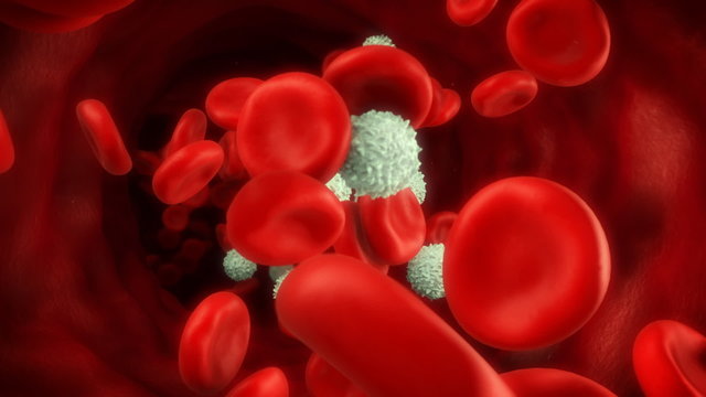 Blood Flow