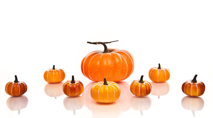 Large and Small pumpkins in rows on a white background.