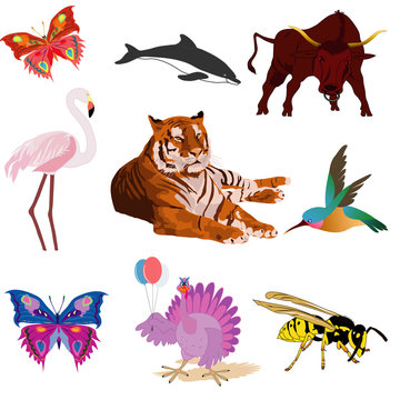 vector collection animal and birds