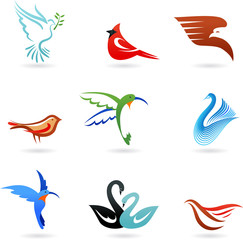 Different colorful birds