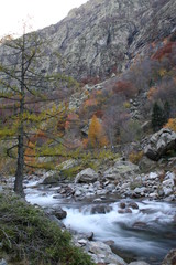 il fiume Gesso