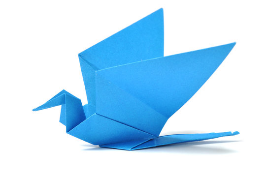 Fototapeta Origami bird over white