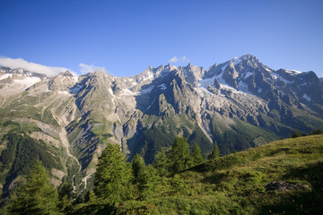 Fototapeta na wymiar Grandes Jorasses (Monte Bianco)