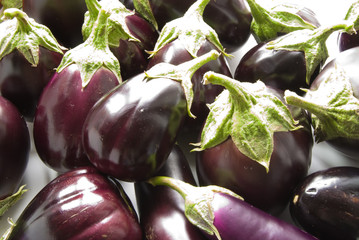 eggplant