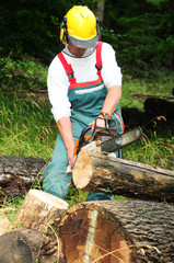 Waldarbeit mit Kettensäge