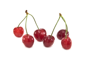 cherry
