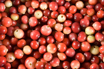 cranberry