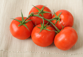 Fresh ripe tomatoes