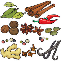 Spices icon set