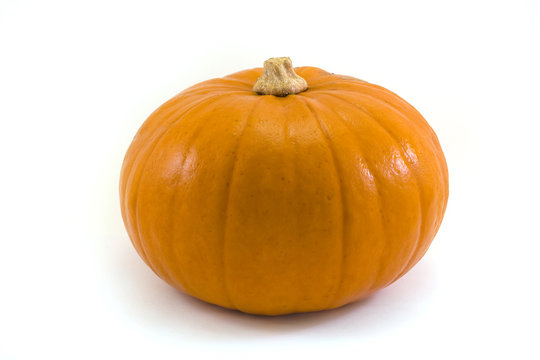 single pumpkin over white