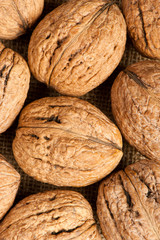 Walnut background