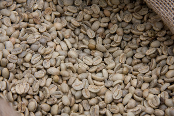 Raw grains of coffee