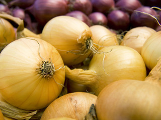 red and white onions macro