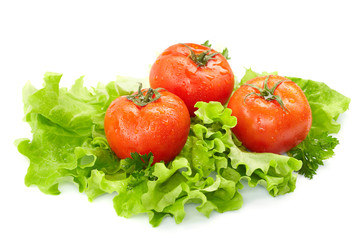 Tomatoes and lettuce  on the  white background