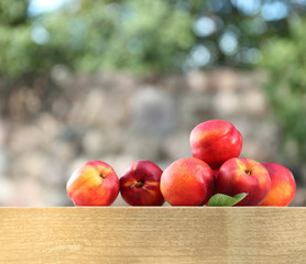 ripe nectarines