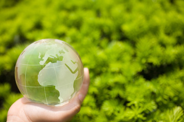 子供の手と地球