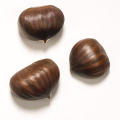 the chsetnuts isolated