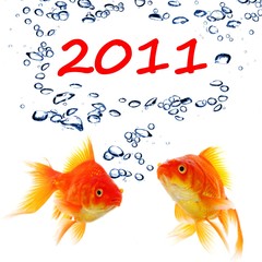 new year 2011