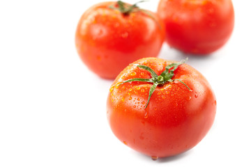 fresh tomatoes on the white background