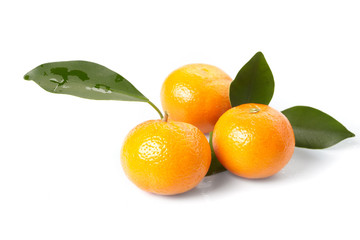 fresh tangerines on the white background