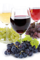 Wine composition