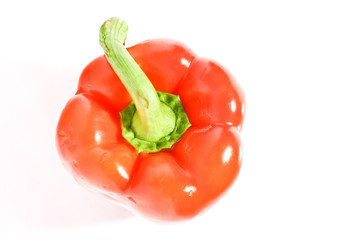 red Pepper