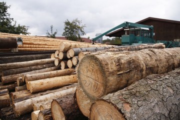 Sawmill