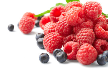 berries on white background