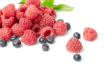 berries on white background