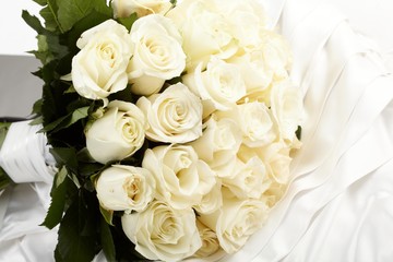 Cream roses