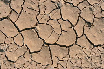 Trockenheit