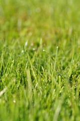 Wassertropfen