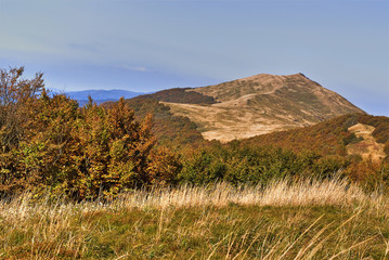 Fototapeta premium Bieszczady - Połonina Wetlińska