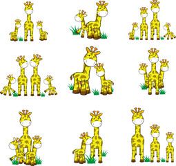 giraffe family set © MARCO HAYASHI