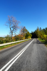 Fototapeta na wymiar Autumn landscape - road